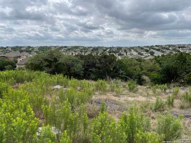 25914 Big Cypress, San Antonio, TX 78261 - photo 4