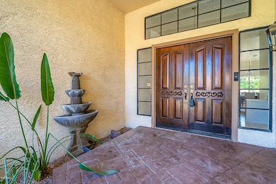Hackamore-5