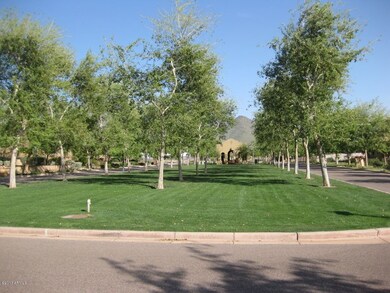 Silverleaf Arcadia
