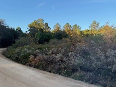 00 Drury Ln, Moultrie, GA 31768 - photo 2