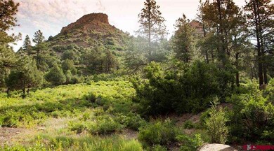 0 Bell Flower Ct unit 760586, Durango, CO 81301 - photo 5