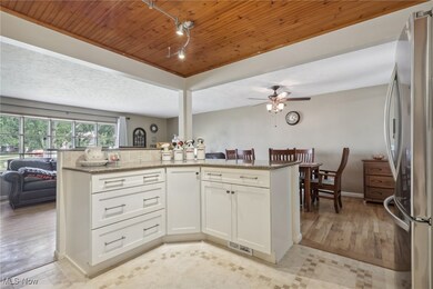 29314 Laurel Ln, Wickliffe, OH 44092 - photo 4