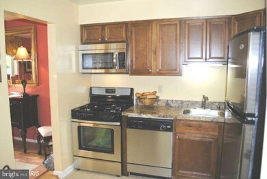 7 Ruxview Ct unit 302, Towson, MD 21204 - photo 6