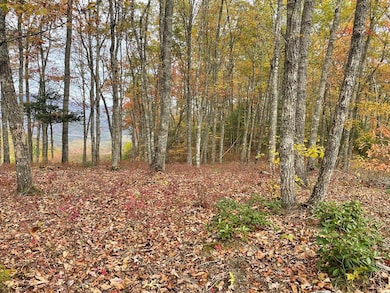 Lot 8 Rocky Ridge Rd, Almond, NC 28702 - photo 6