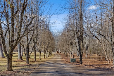 8515 Highway 157, Rising Fawn, GA 30738 - photo 3