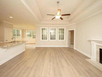 656 Sienna Way, Summerville, SC 29486 - photo 4