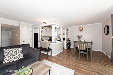 1221 Chalet Rd unit 200, Naperville, IL 60563 - photo 3