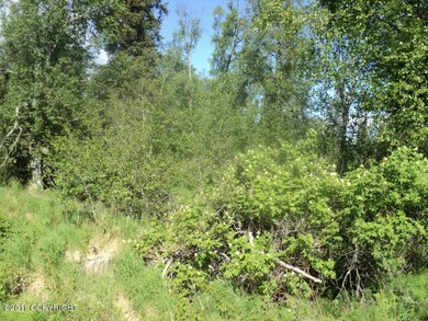 TUCK YOURSELF INTO THE WOODS