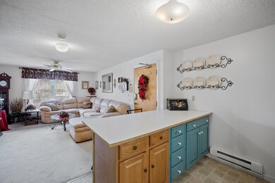 30 Beech St unit 3B, Bristol, NH 03222 - photo 6