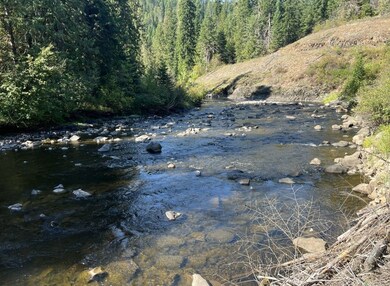 0 Lacey Meadow Rd, Weippe, ID 83553 - photo 2