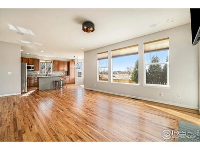 5381 Carriage Hill Ct, Timnath, CO 80547 - photo 7