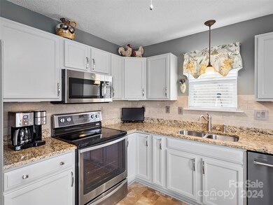 3103 Blue Goose Ct, Hendersonville, NC 28792 - photo 7