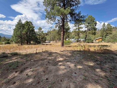 22 Blue Jay Place, Pagosa Springs, CO 81147 - photo 6