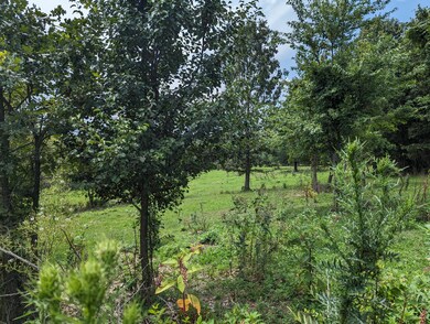 6 acre tract