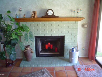 FAMILYROOM FIREPLACE