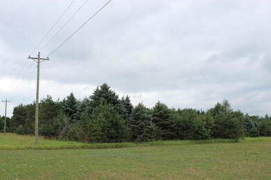 IMG_7625