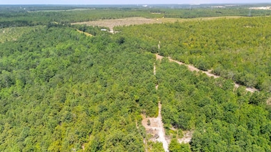 2576 Jessie James Pond Rd unit 2, Wrens, GA 30818 - photo 7