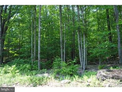 95 Lake Shore Dr, Pocono Lake, PA 18347 - photo 4