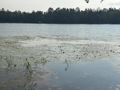 25266 Oak Knoll Trail, Osage, MN 56570 - photo 5