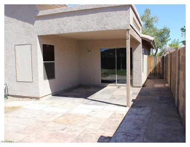 Backyard 1