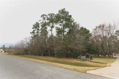 0 Canyon Ct unit 11654481, Conroe, TX 77385 - photo 3