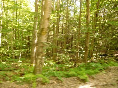 711 Webster Mills Rd, Pittsfield, NH 03263 - photo 7