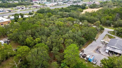 0 Old Shady Hills Rd, Spring Hill, FL 34610 - photo 6