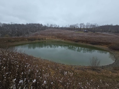 0WP Piety Hill Rd, Cincinnatus, NY 13040 - photo 4