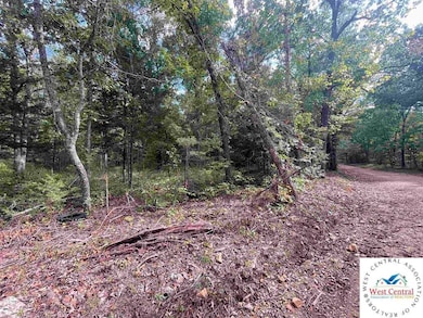 22070 County Rd 254l Rd unit Lots 23, 24, 25 & 26, Wheatland, MO 65779 - photo 4