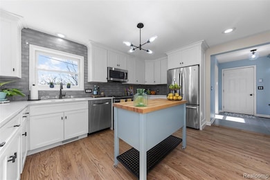 2211 Ferdon Rd, Ann Arbor, MI 48104 - photo 5