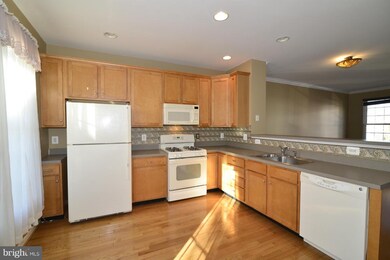 25369 Shipley Terrace, Chantilly, VA 20152 - photo 3