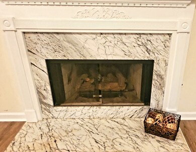 Fireplace in Great Room