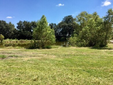 Pond