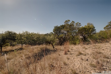 354 Ledgeview Dr, Canyon Lake, TX 78133 - photo 7