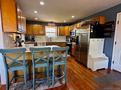 14639 Carlon Dr, Lake Odessa, MI 48849 - photo 4