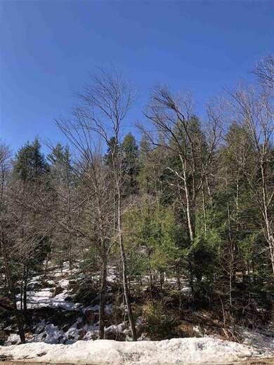 0 White Rd unit 4853123, Readsboro, VT 05350 - photo 3