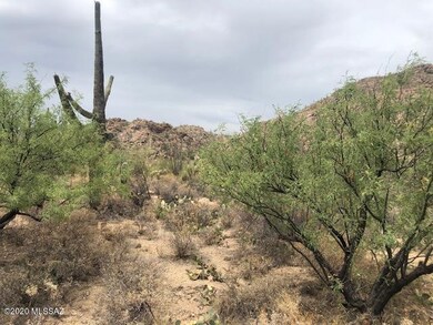 Stunning High Desert