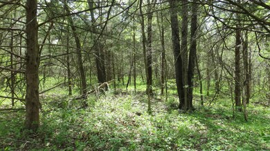 Gorgeous Wooded Setting