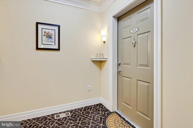 7871 Rolling Woods Ct unit 301, Springfield, VA 22152 - photo 5
