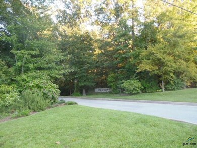 6125 Brixworth Dr, Tyler, TX 75703 - photo 5