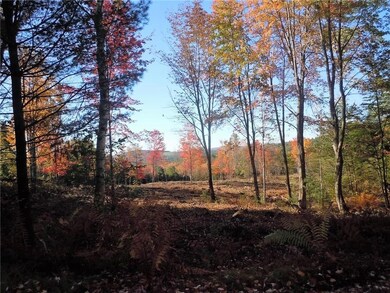 00 Durgintown Rd, Hiram, ME 04041 - photo 2