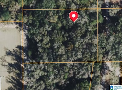 0 Wilson Ln, Fairhope, AL 36532 - photo 3