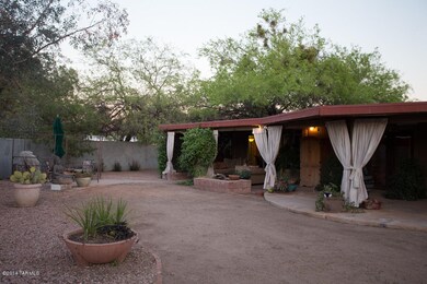 Back Yard 3999