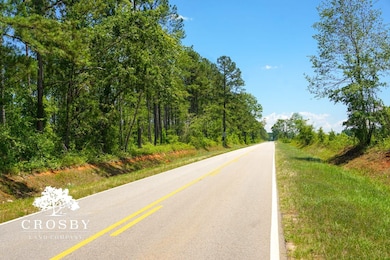 0 W Quaker Rd unit 25649767, Keysville, GA 30816 - photo 4