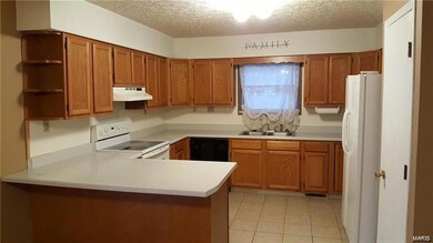 10760 Cherry Rd, Dixon, MO 65459 - photo 7