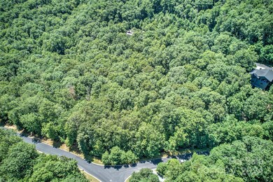 567 Shining Rock Path, Horse Shoe, NC 28742 - photo 3