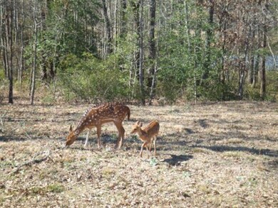 Mommy & Baby Axis