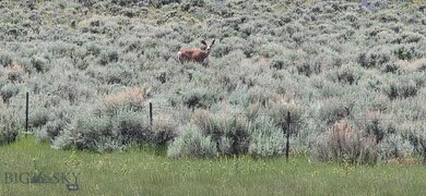 TBD Shy Rd, Wilsall, MT 59086 - photo 4
