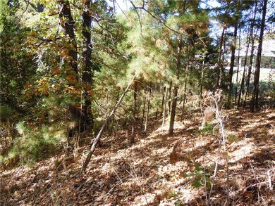 100 Shelton Dr, Eureka Springs, AR 72632 - photo 7