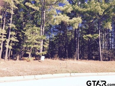 6082 Graemont Blvd, Tyler, TX 75703 - photo 6